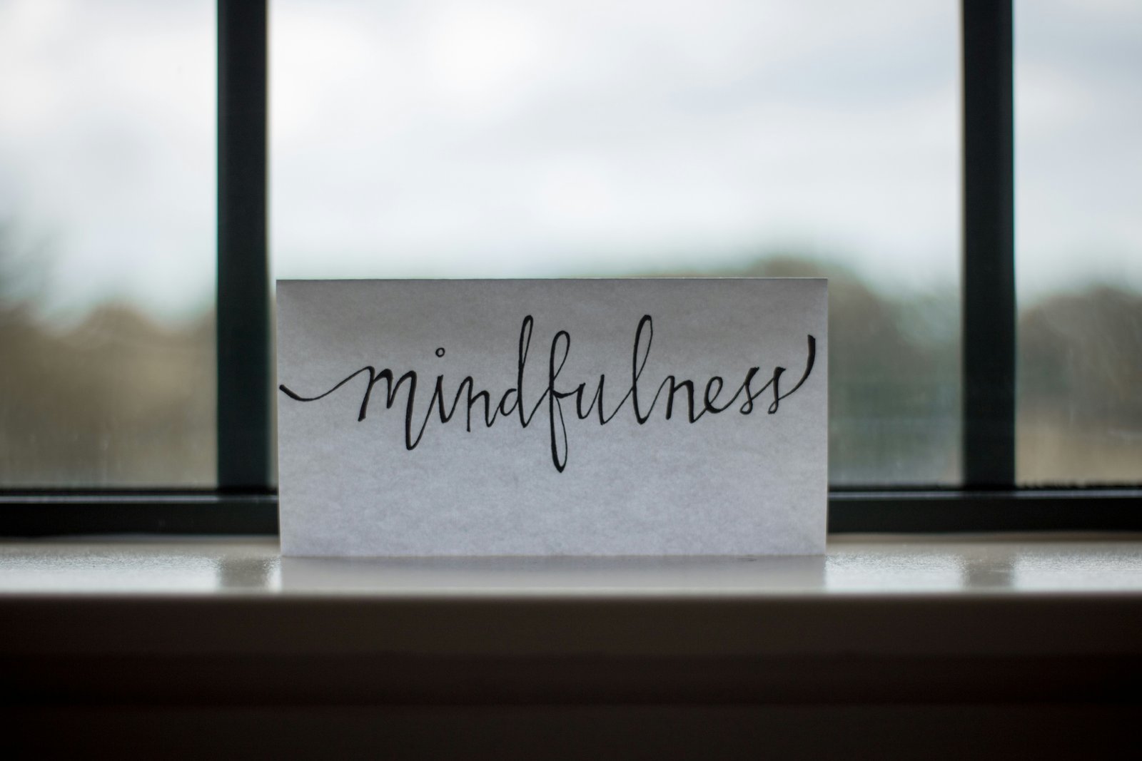 The Transformative Power of Mindfulness and Stress Management Techniques